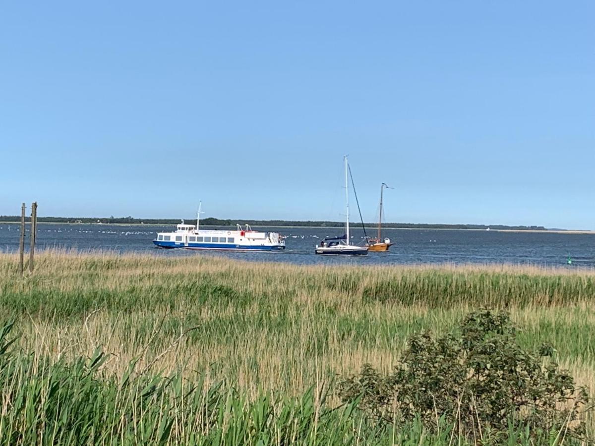 Boddenperle * Bresewitz